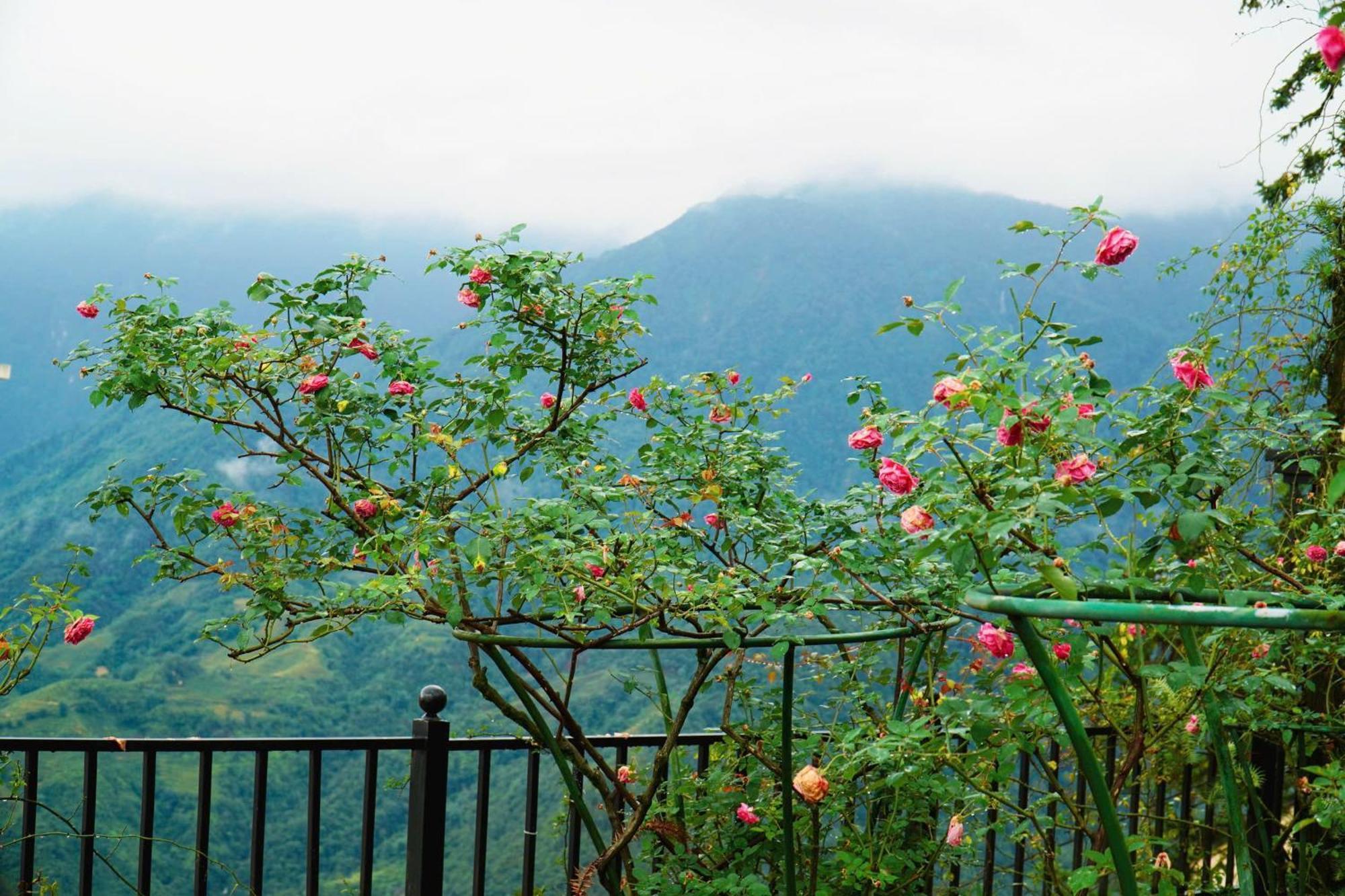 Sapa Highland Resort & Spa Экстерьер фото